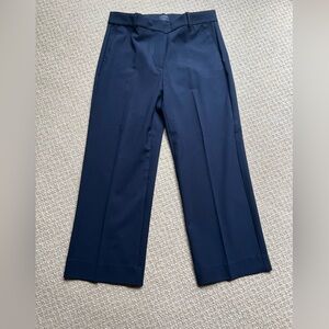 J Crew Factory “Kristyn” Navy Ankle length Pant Size 8